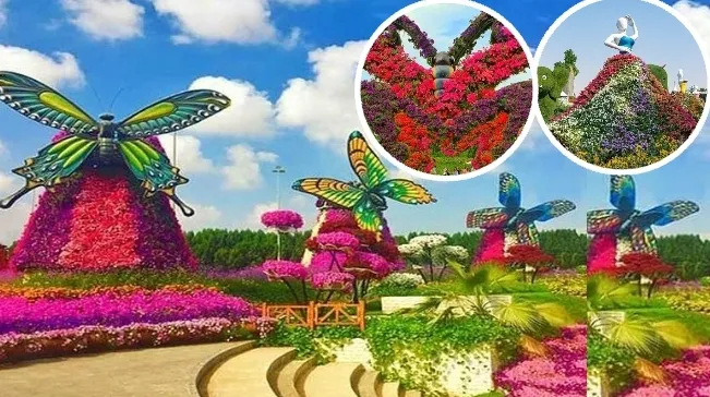 Dubai Miracle Garden and Butterfly Garden Tour